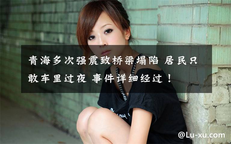 青海多次强震致桥梁塌陷 居民只敢车里过夜 事件详细经过！