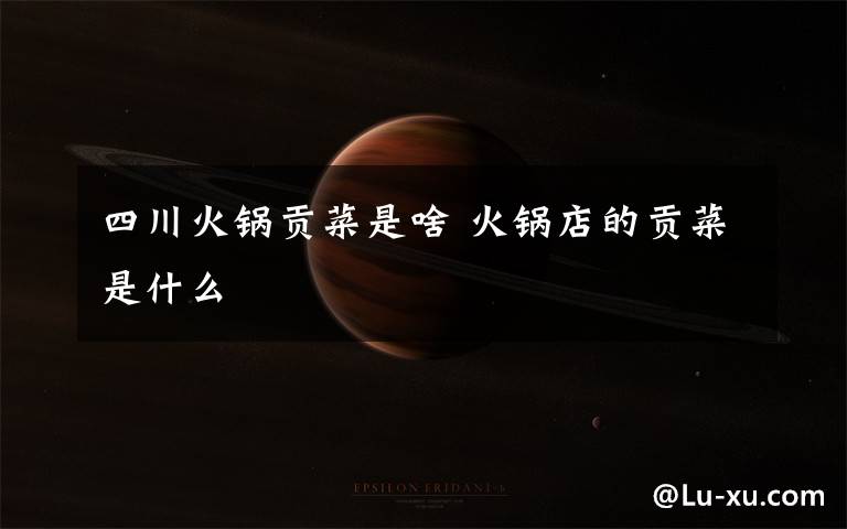四川火锅贡菜是啥 火锅店的贡菜是什么