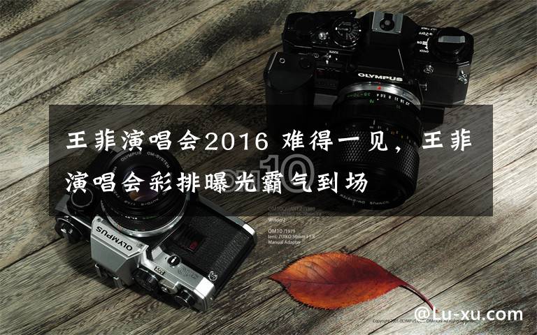 王菲演唱会2016 难得一见,王菲演唱会彩排曝光霸气到场