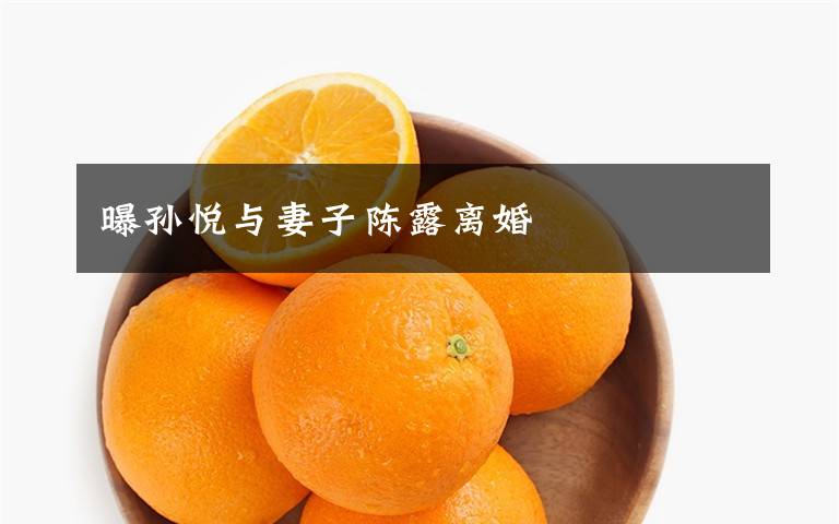 曝孙悦与妻子陈露离婚