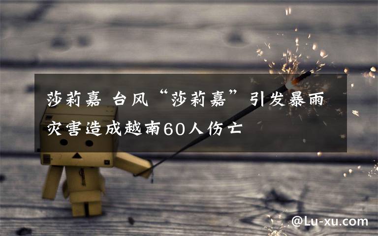 莎莉嘉 台风“莎莉嘉”引发暴雨灾害造成越南60人伤亡