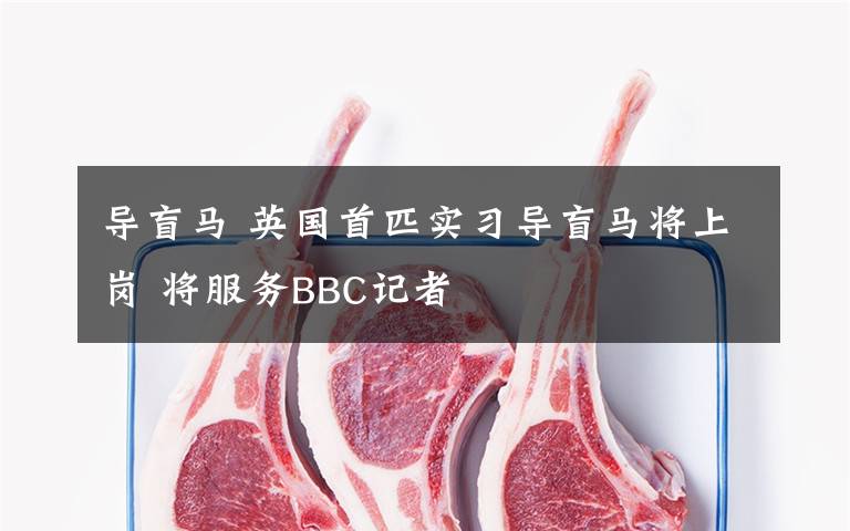 导盲马 英国首匹实习导盲马将上岗 将服务BBC记者