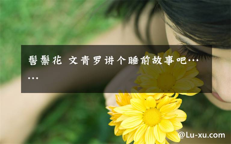 髻鬃花 文青罗讲个睡前故事吧……