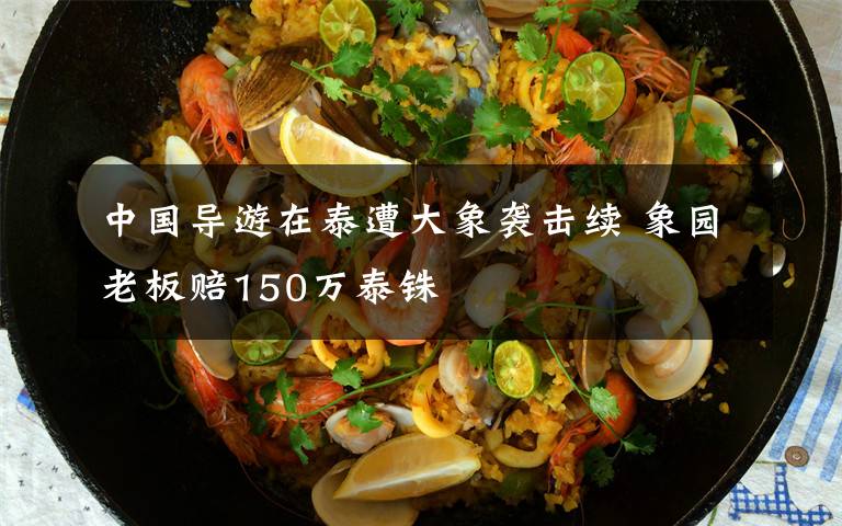 中国导游在泰遭大象袭击续 象园老板赔150万泰铢