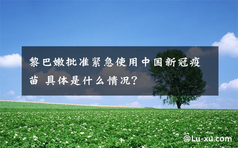 黎巴嫩批准紧急使用中国新冠疫苗 具体是什么情况？