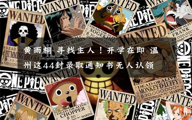 黄雨桐 寻找主人!开学在即 温州这44封录取通知书无人认领