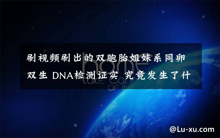刷视频刷出的双胞胎姐妹系同卵双生 DNA检测证实 究竟发生了什么?