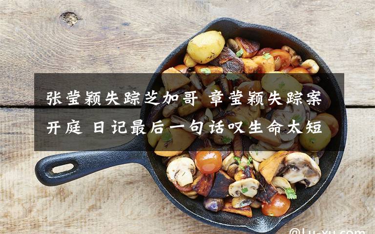 张莹颖失踪芝加哥 章莹颖失踪案开庭 日记最后一句话叹生命太短暂