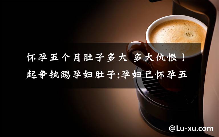 怀孕五个月肚子多大 多大仇恨!起争执踢孕妇肚子:孕妇已怀孕五个月腹部留下淤青惨不忍睹