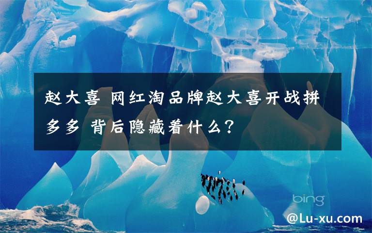 赵大喜 网红淘品牌赵大喜开战拼多多 背后隐藏着什么?