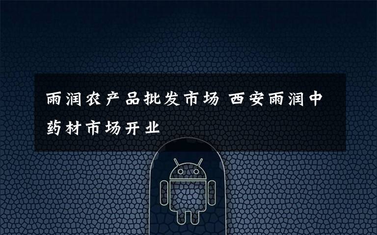 雨润农产品批发市场 西安雨润中药材市场开业