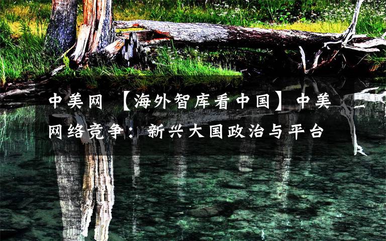 中美网 【海外智库看中国】中美网络竞争:新兴大国政治与平台竞争的视角