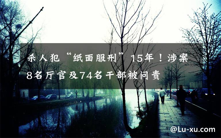 杀人犯“纸面服刑”15年！涉案8名厅官及74名干部被问责