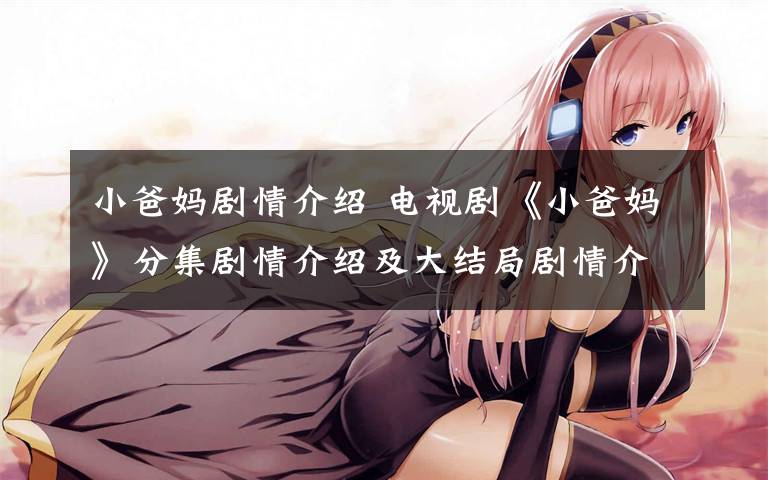 小爸妈剧情介绍 电视剧《小爸妈》分集剧情介绍及大结局剧情介绍