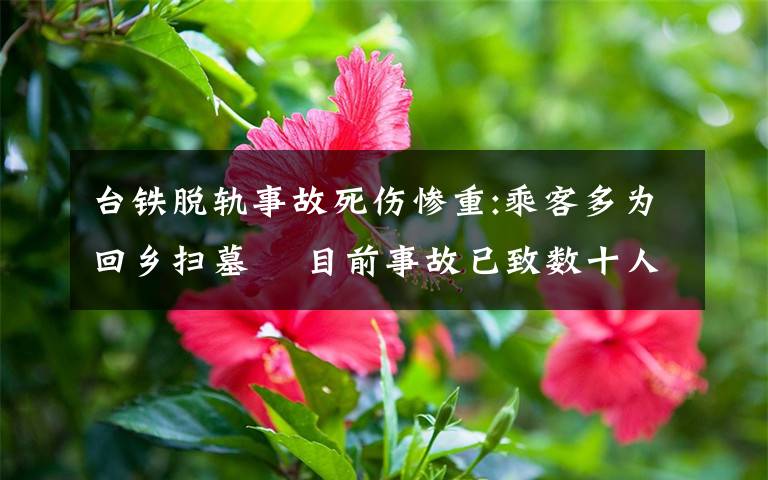 台铁脱轨事故死伤惨重:乘客多为回乡扫墓  目前事故已致数十人死亡 对此大家怎么看?