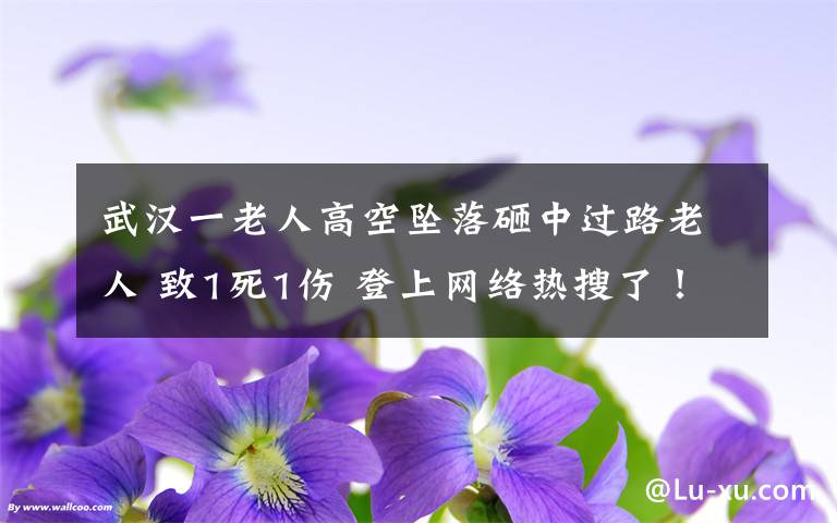 武汉一老人高空坠落砸中过路老人 致1死1伤 登上网络热搜了!