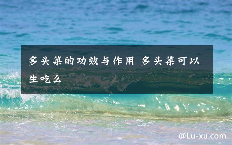 多头菜的功效与作用 多头菜可以生吃么
