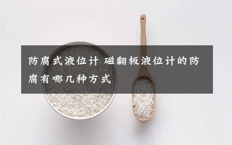 防腐式液位计 磁翻板液位计的防腐有哪几种方式