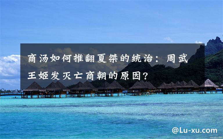 商汤如何推翻夏桀的统治:周武王姬发灭亡商朝的原因?