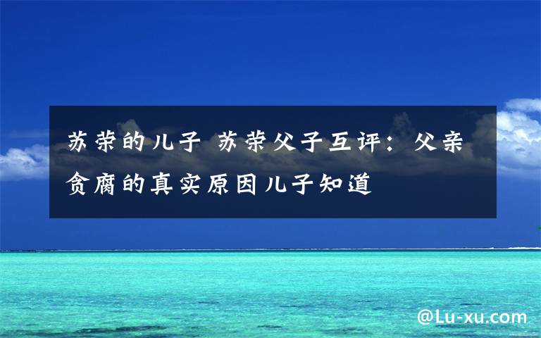 苏荣的儿子 苏荣父子互评:父亲贪腐的真实原因儿子知道