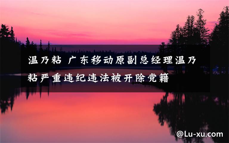 温乃粘 广东移动原副总经理温乃粘严重违纪违法被开除党籍