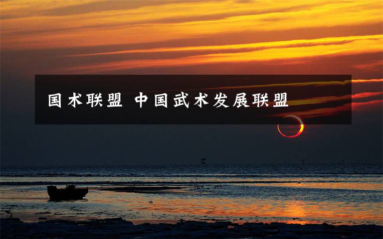 国术联盟 中国武术发展联盟