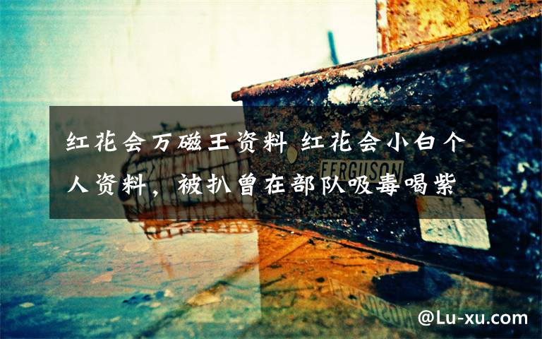 红花会万磁王资料 红花会小白个人资料,被扒曾在部队吸毒喝紫色水