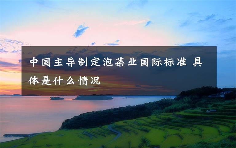 中国主导制定泡菜业国际标准 具体是什么情况