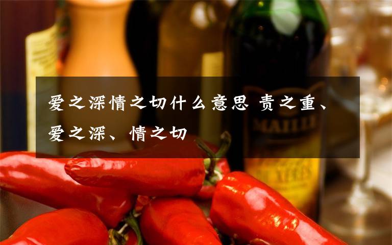 爱之深情之切什么意思 责之重、爱之深、情之切