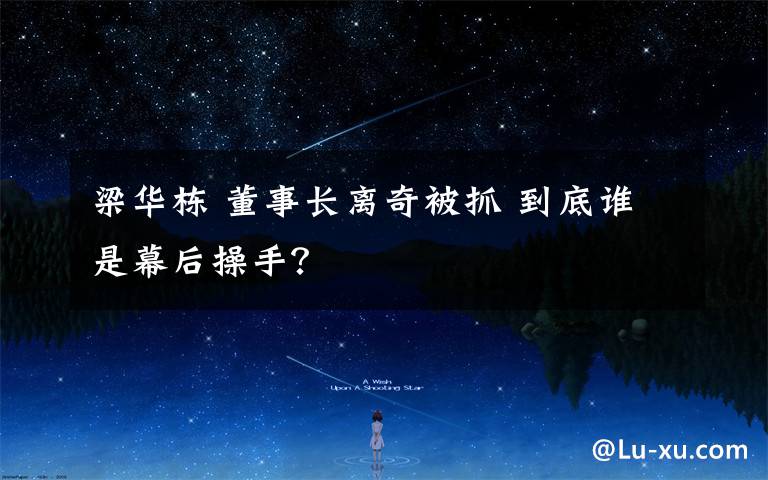 梁华栋 董事长离奇被抓 到底谁是幕后操手？