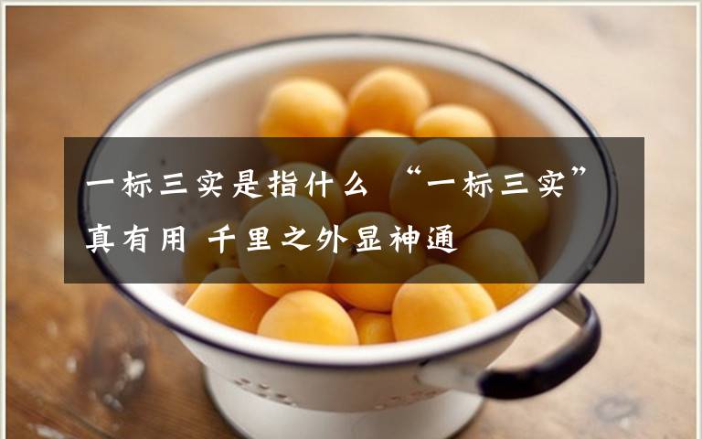 一标三实是指什么 “一标三实”真有用 千里之外显神通