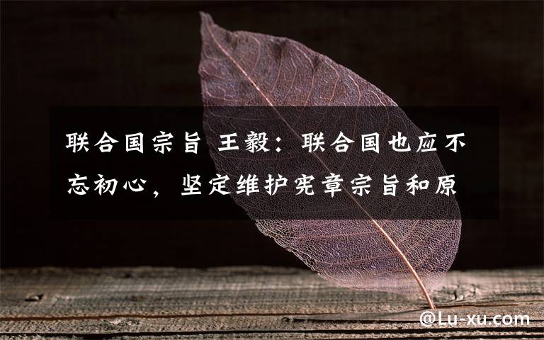 联合国宗旨 王毅：联合国也应不忘初心，坚定维护宪章宗旨和原则