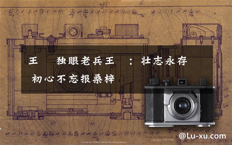 王堃 独眼老兵王堃：壮志永存 初心不忘报桑梓