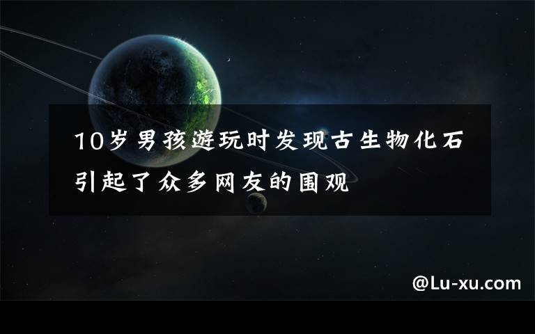 10岁男孩游玩时发现古生物化石 引起了众多网友的围观