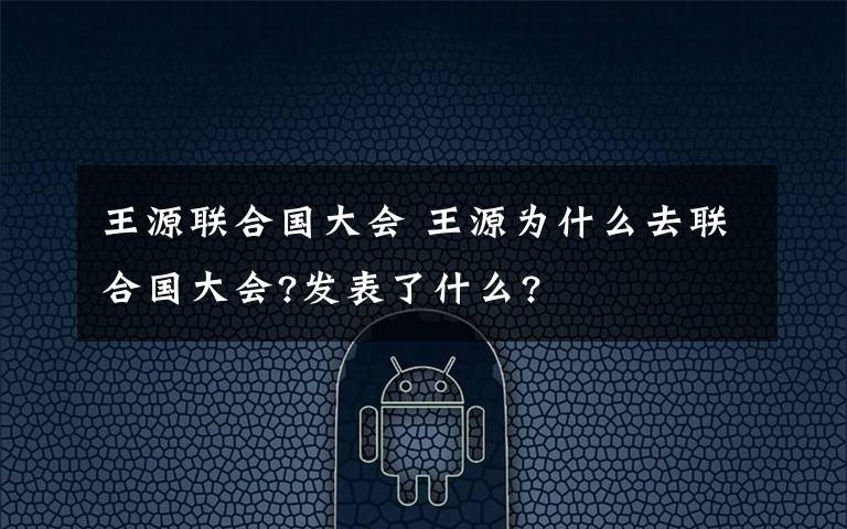 王源联合国大会 王源为什么去联合国大会?发表了什么?