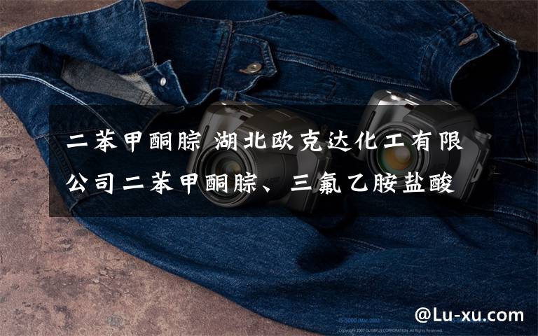 二苯甲酮腙 湖北欧克达化工有限公司二苯甲酮腙、三氟乙胺盐酸盐、邻乙酰氨基苯甲酸内脂项目环境影响评价公示