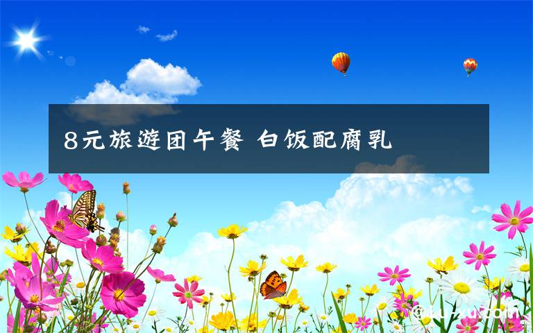 8元旅游团午餐 白饭配腐乳