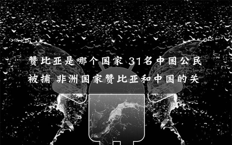 赞比亚是哪个国家 31名中国公民被捕 非洲国家赞比亚和中国的关系怎样?