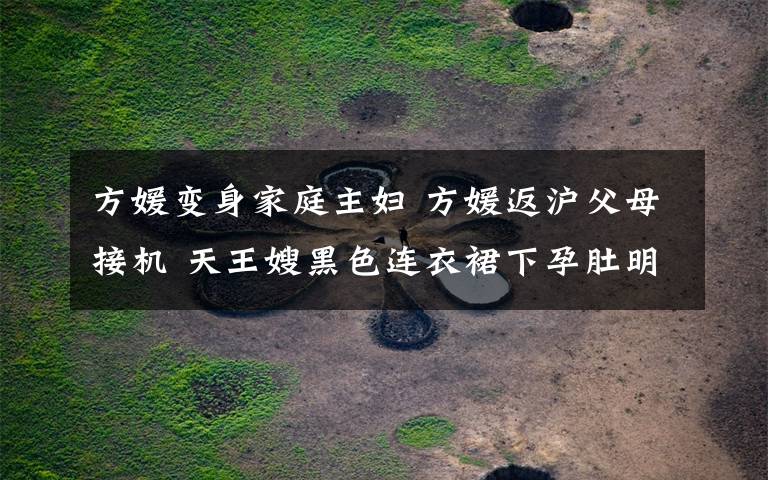 方媛变身家庭主妇 方媛返沪父母接机 天王嫂黑色连衣裙下孕肚明显