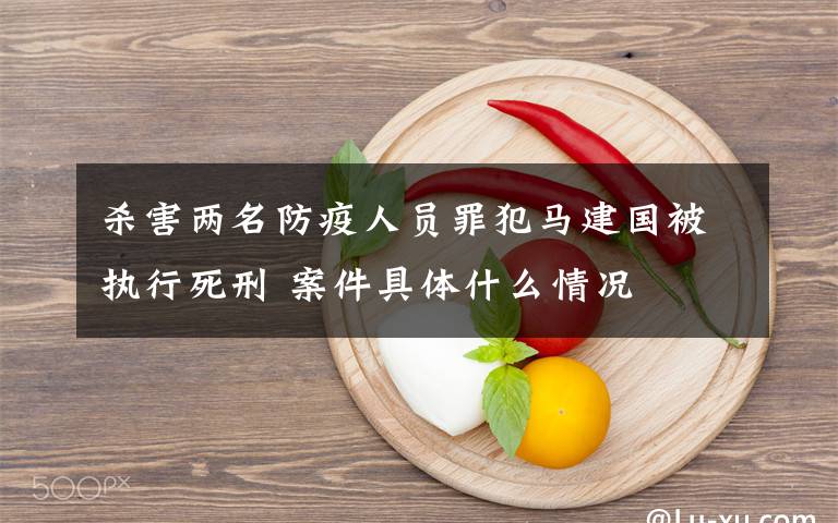 杀害两名防疫人员罪犯马建国被执行死刑 案件具体什么情况