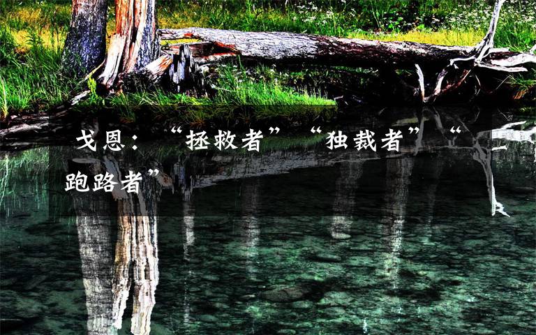  戈恩：“拯救者”“独裁者”“跑路者”