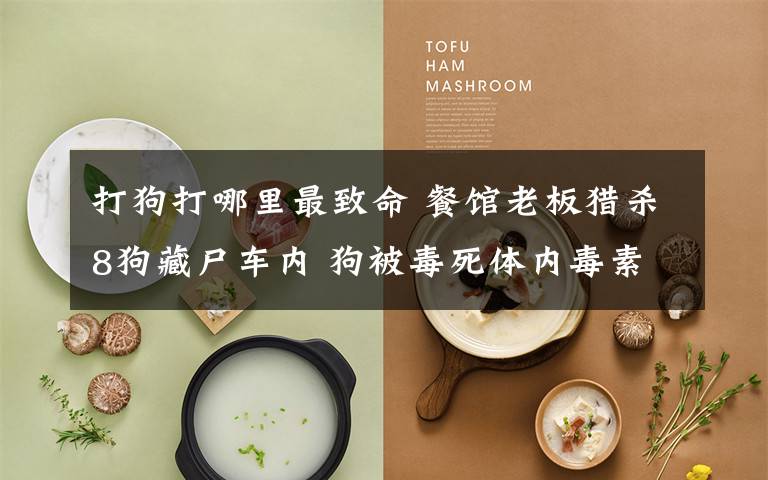 打狗打哪里最致命 餐馆老板猎杀8狗藏尸车内 狗被毒死体内毒素堆积误食恐致命
