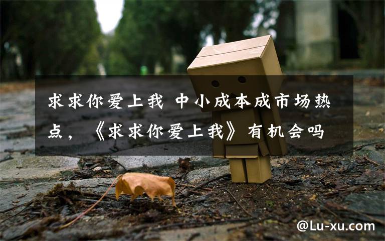 求求你爱上我 中小成本成市场热点,《求求你爱上我》有机会吗?