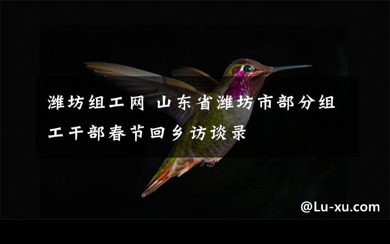 潍坊组工网 山东省潍坊市部分组工干部春节回乡访谈录