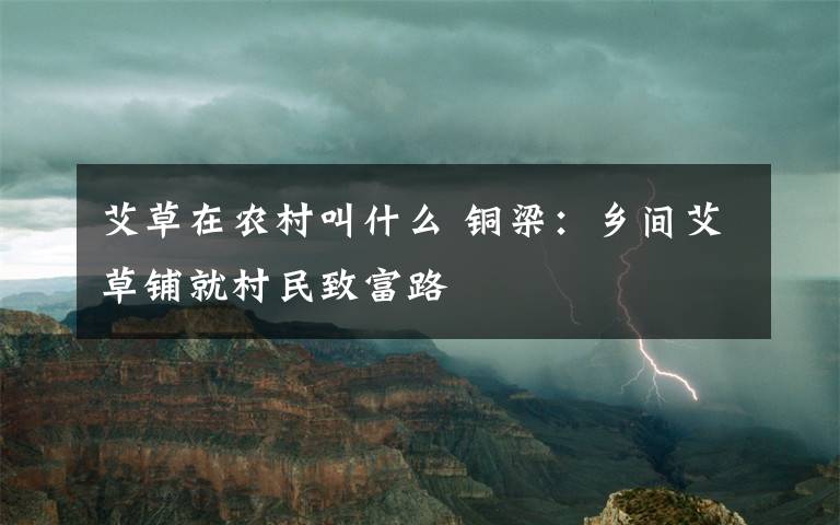 艾草在农村叫什么 铜梁:乡间艾草铺就村民致富路