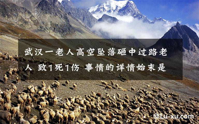 武汉一老人高空坠落砸中过路老人 致1死1伤 事情的详情始末是怎么样了!