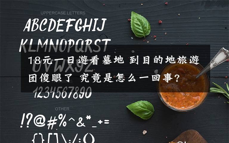 18元一日游看墓地 到目的地旅游团傻眼了 究竟是怎么一回事?