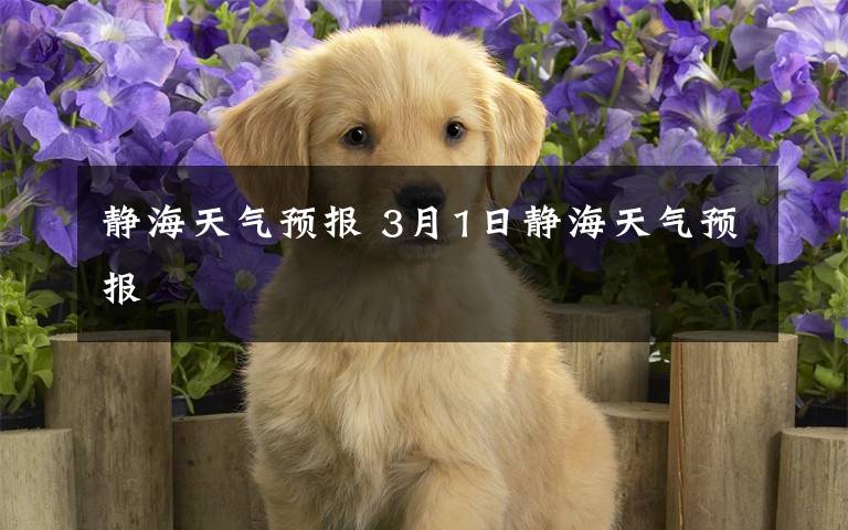 静海天气预报 3月1日静海天气预报