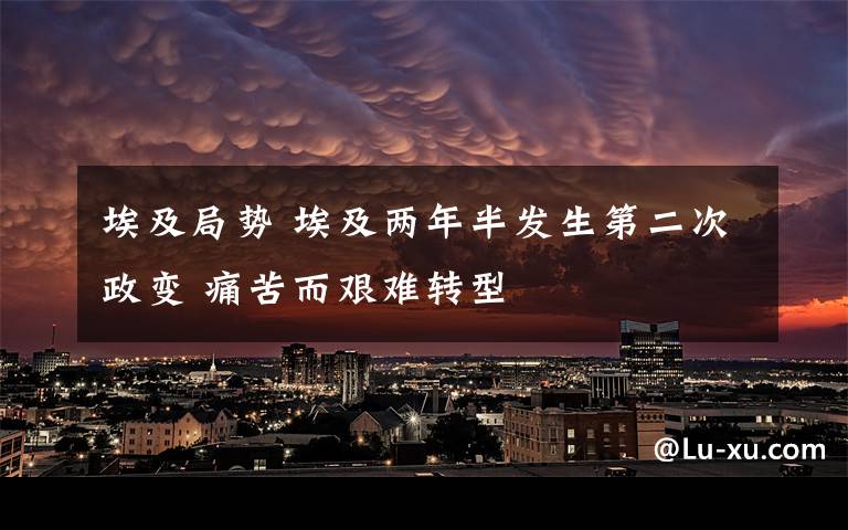 埃及局势 埃及两年半发生第二次政变 痛苦而艰难转型