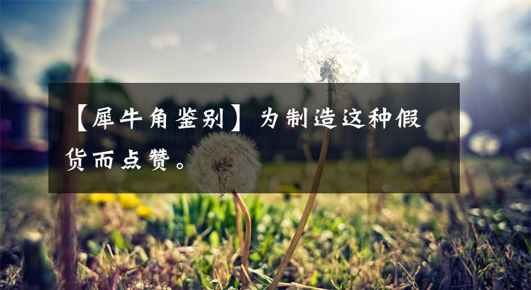 【犀牛角鉴别】为制造这种假货而点赞。